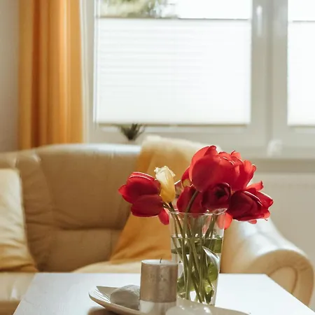 Prijetna Hisa Blizu Starega Mestnega Jedra Apartment